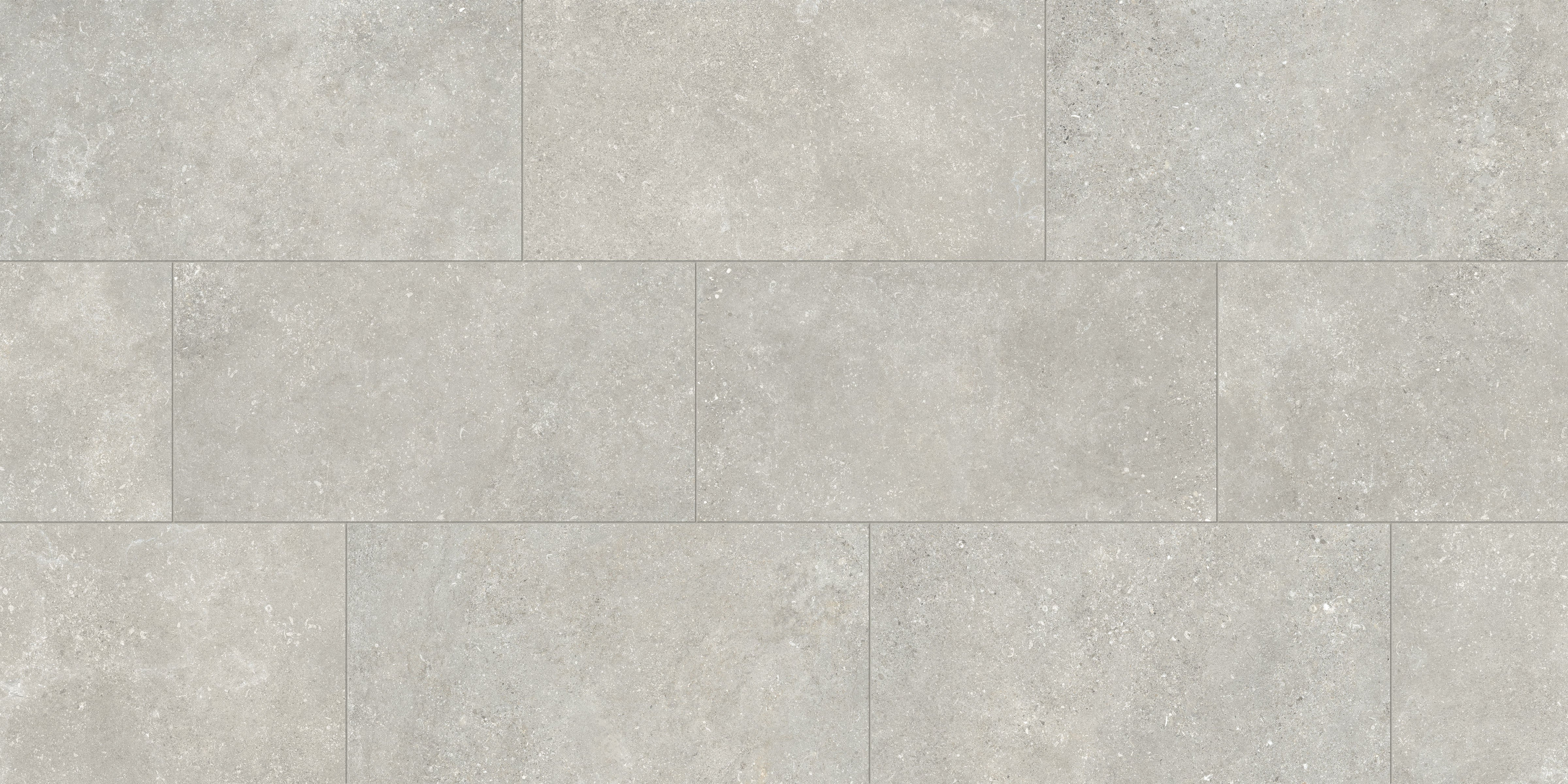 Untamed™ 12x24 Matte Porcelain Tile in Wander Cool