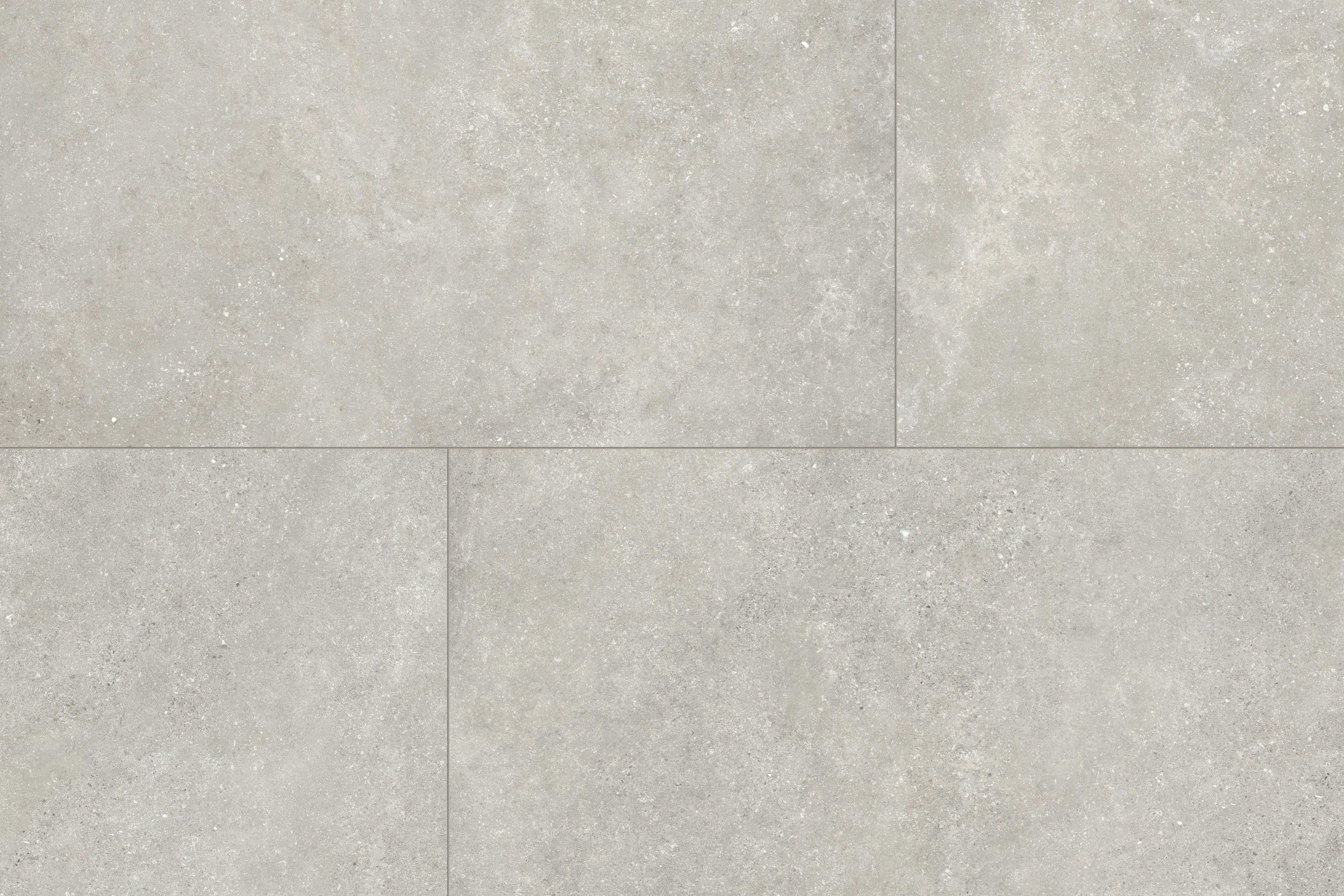 Untamed™ 24x48 Matte Porcelain Tile in Wander Cool
