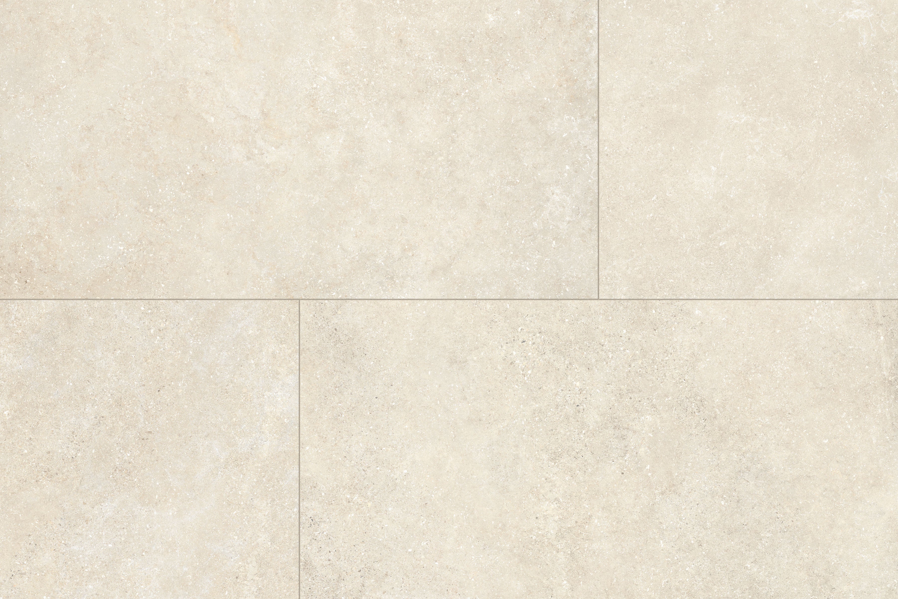 Untamed™ 24x48 Matte Porcelain Tile in Wander Warm