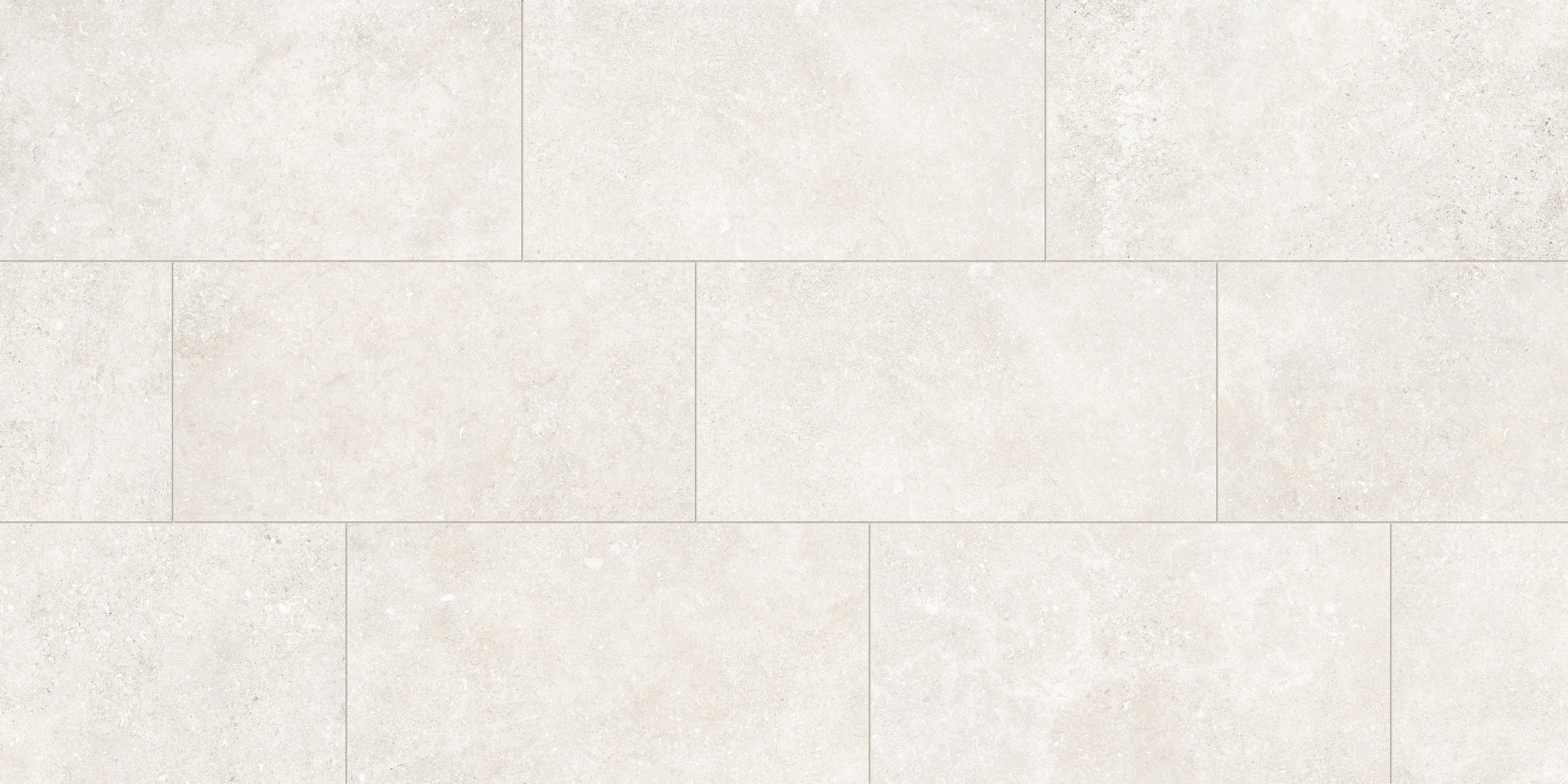 Untamed™ 12x24 Matte Porcelain Tile in Wander White