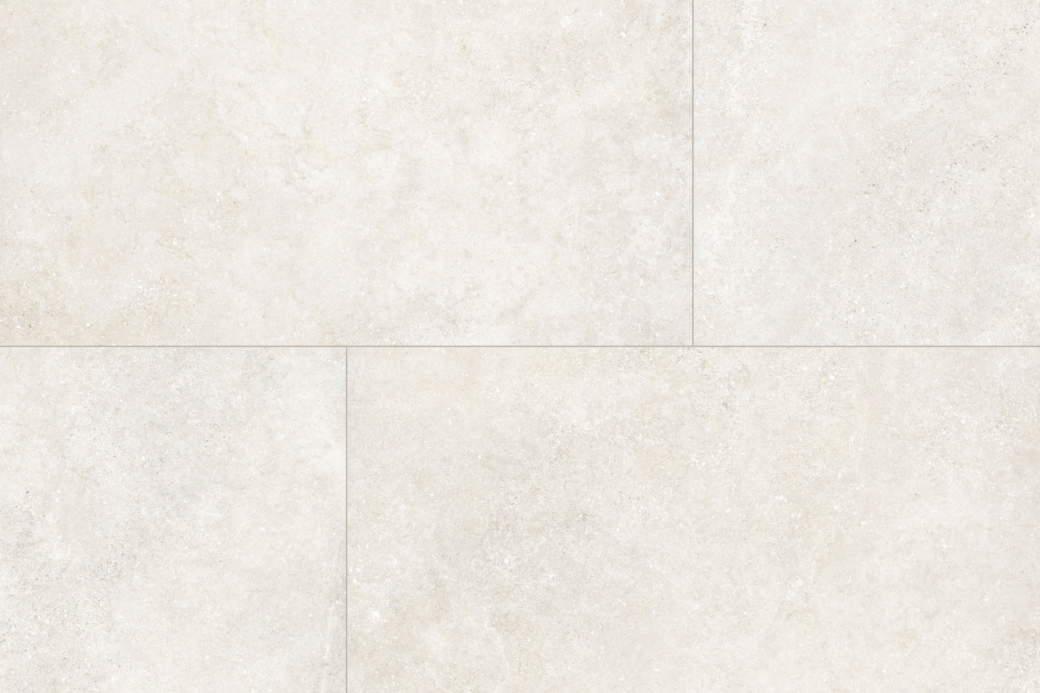 Untamed™ 24x48 Matte Porcelain Tile in Wander White